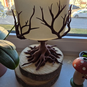 Dianne added a photo of their purchase