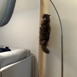 Alex ha aggiunto una foto del proprio acquisto