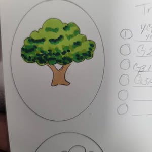 C hat ein Foto des gekauften Artikels hinzugefügt
