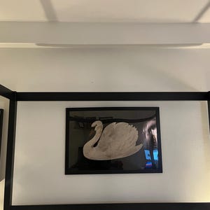 breezy added a photo of their purchase