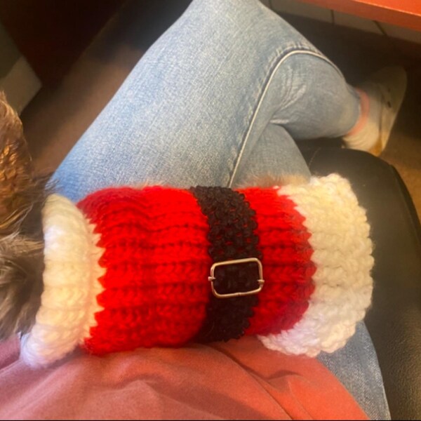 Elf Dog Hoodie main image 0