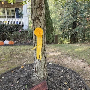 Claudette added a photo of their purchase