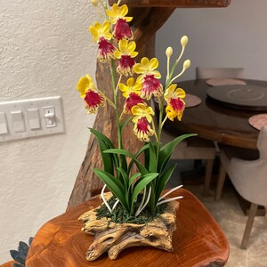 Miguel added a photo of their purchase