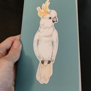 Hugh heeft een foto van de aankoop toegevoegd