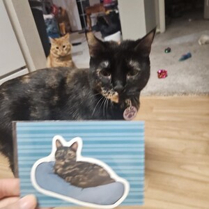 Dominique added a photo of their purchase