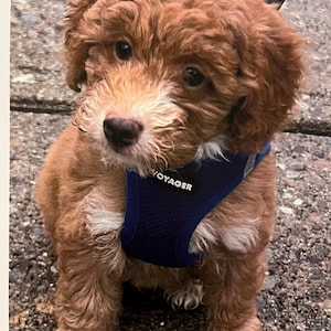 Susan added a photo of their purchase
