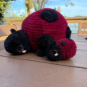 Lindsey added a photo of their purchase