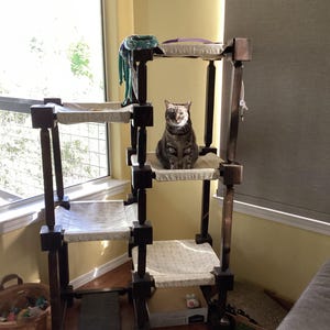 Lori added a photo of their purchase