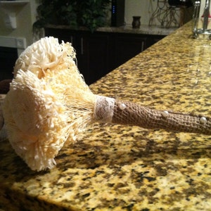 Megan added a photo of their purchase
