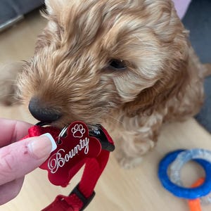 Chloe added a photo of their purchase