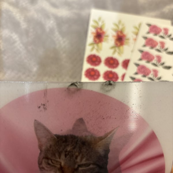 Umbridge's Lenticular Cat Plates Kit, Harry Wizarding School DIY ...