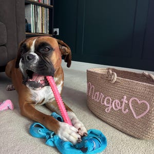 Amy added a photo of their purchase