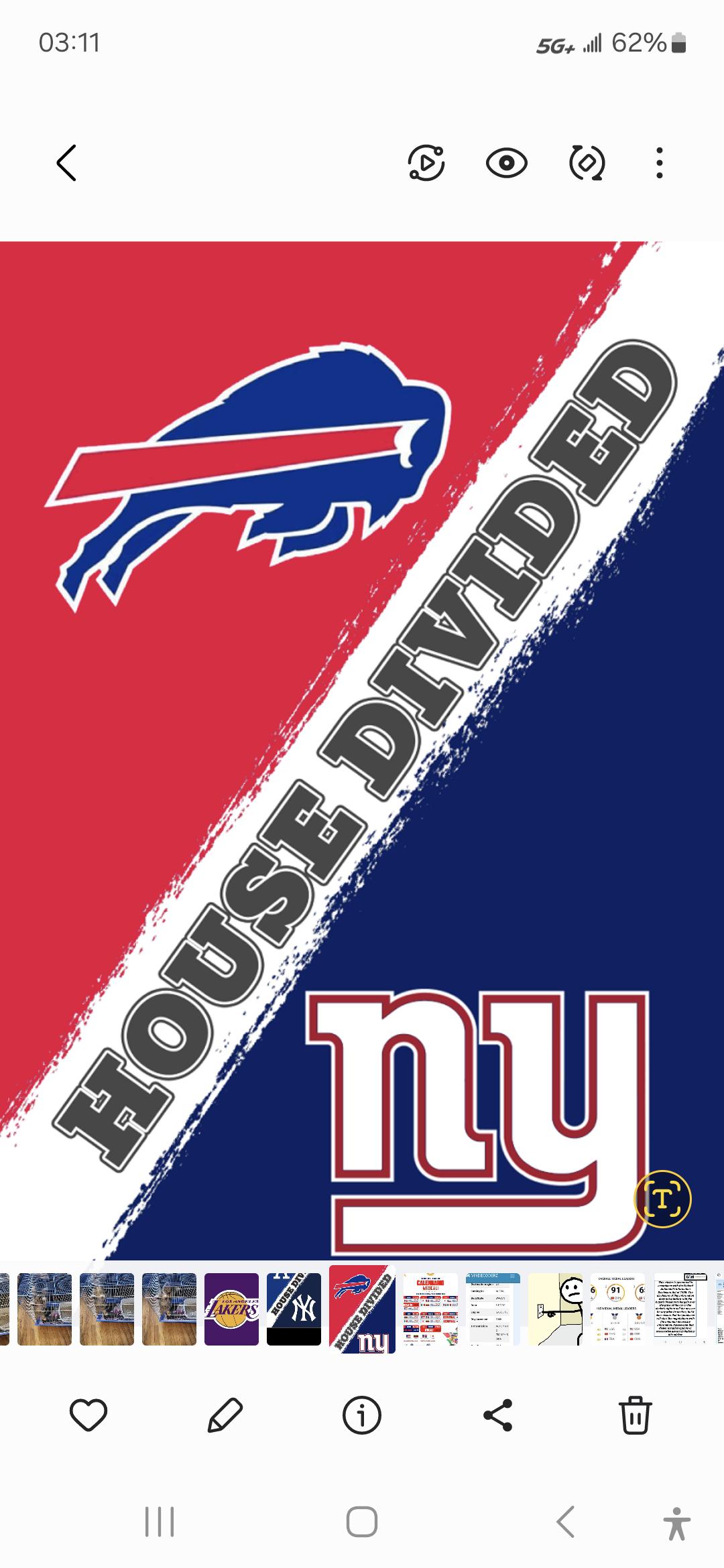 Custom House Divided Flag, Custom Flag, House Divided Flag, Flag, Country Flag, School Flag, Flag UL2S18