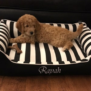 B added a photo of their purchase