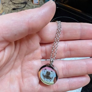 Shelby added a photo of their purchase