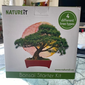Easy Bonsai Kit - Plantes Kit de culture Bonzaï 4 graines