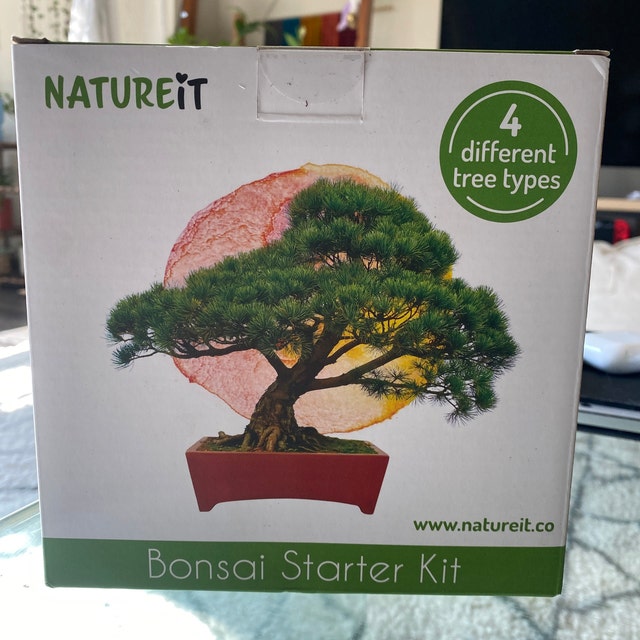 Kits de graines de bonsaï - Premier fournisseur chinois de kits de