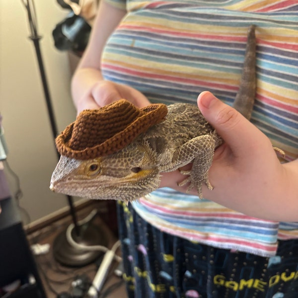 Crochet Headband Pattern for Bearded Dragon Set 2 - Etsy