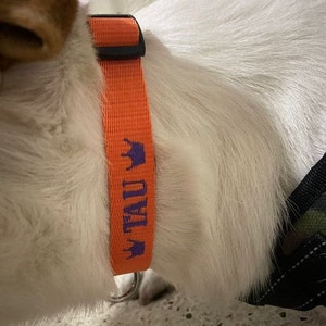 M added a photo of their purchase