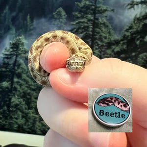 Makaela hat ein Foto des gekauften Artikels hinzugefügt