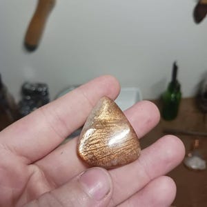 Whitney added a photo of their purchase