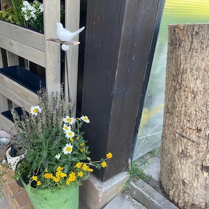 Ela added a photo of their purchase