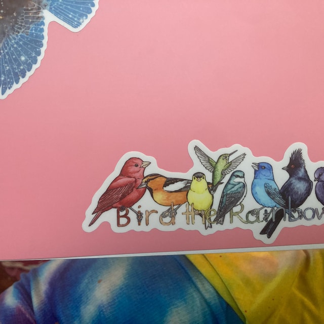 Bird the Rainbow 6