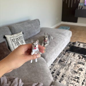 gretter a ajouté une photo de son achat