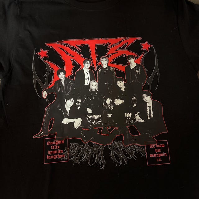 Ate Stray Kids Tee Shirt - SKZ for Concert Merch - Etsy