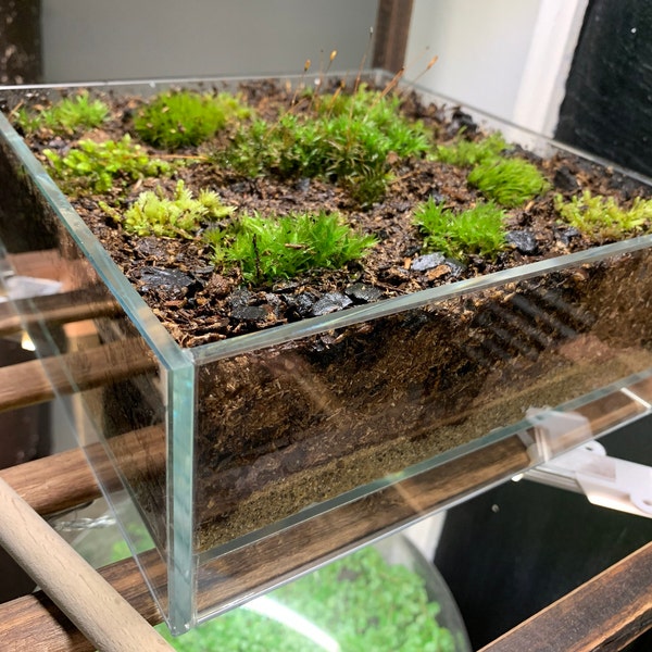 HIRO Aquatics Nano Shallow Rimless Tank, Low-iron Glass, for Wabikusa ...