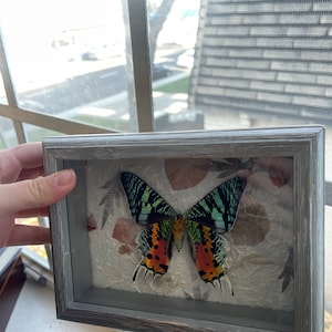 Siera added a photo of their purchase