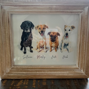 Hayley added a photo of their purchase