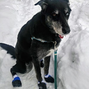 mountain ridge dog boots