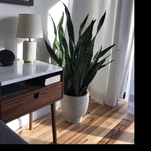 Stephanie added a photo of their purchase