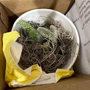 Diane added a photo of their purchase