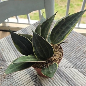 Bessie added a photo of their purchase