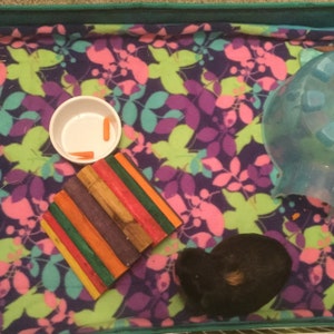 Gretchen added a photo of their purchase