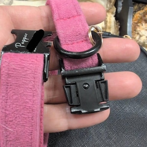 Elizabeth added a photo of their purchase