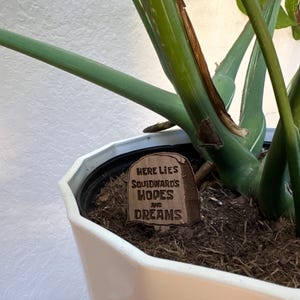 Sara ha añadido una foto de su compra