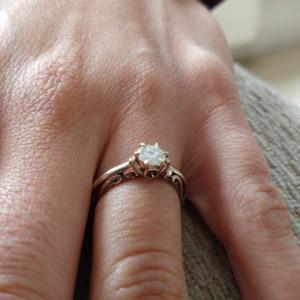 Benen added a photo of their purchase