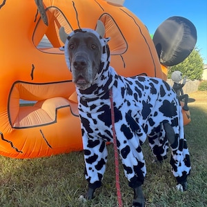Regina added a photo of their purchase