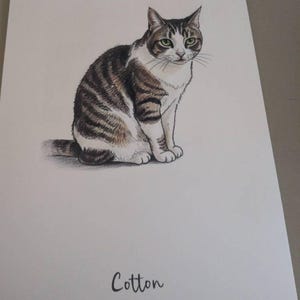 Nicola ha añadido una foto de su compra