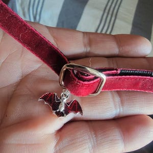 Fabien ha añadido una foto de su compra