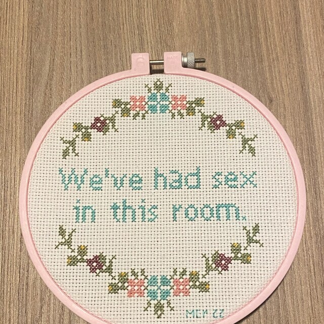 Beginner Cross Stitch Kit, Had Sex in This Room, Funny Cross