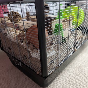 Sarah added a photo of their purchase