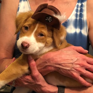 Brandi added a photo of their purchase