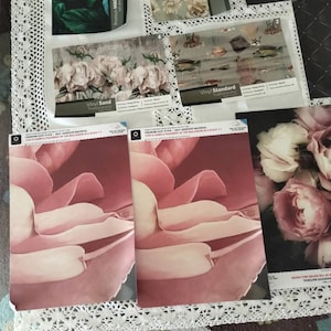 Isabel ha aggiunto una foto del proprio acquisto