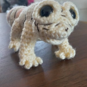 Leandri added a photo of their purchase