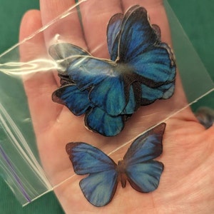 Amy added a photo of their purchase