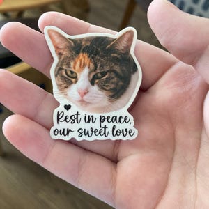 Emily added a photo of their purchase